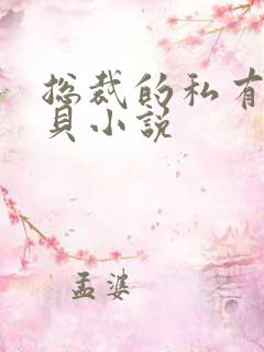 总裁的私有小宝贝小说