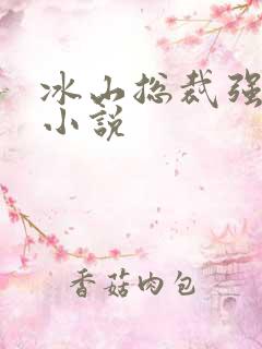 冰山总裁强宠婚小说