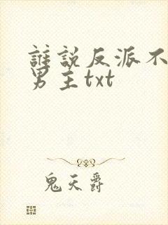 谁说反派不能当男主txt