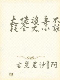 大佬追妻不择手段全文小说阅读全文