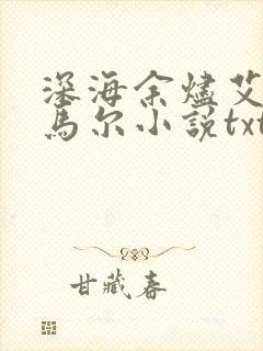 深海余烬艾布诺马尔小说txt精校版