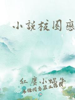 小说校园恋爱簿