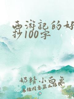 西游记的好段摘抄100字