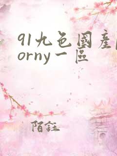 91九色国产porny一区