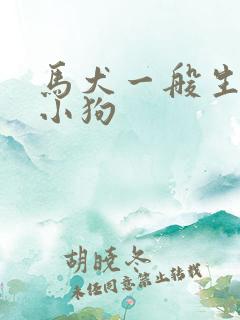 马犬一般生几只小狗