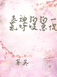 泰迪狗狗一直喘气呼吸急促