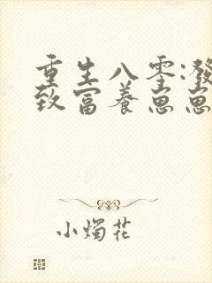 重生八零:发家致富养崽崽