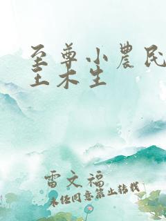 至尊小农民小说王木生