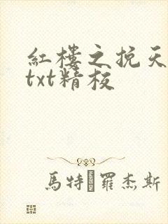 红楼之挽天倾无txt精校