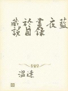 藏于昼夜蓝掉小说目录