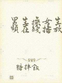 男生操女生的视频在线播放