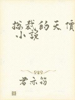 总裁的天价甜妻 小说