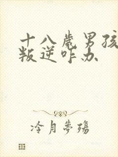 十八岁男孩厌学叛逆咋办