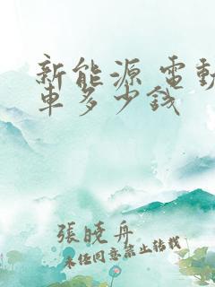 新能源 电动汽车多少钱