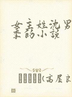 女主姓沈男主姓季的小说