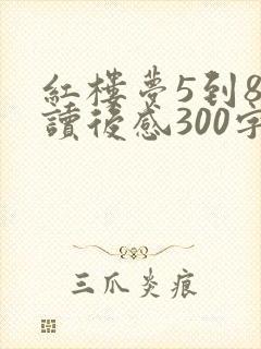 红楼梦5到8回读后感300字