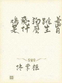 鸡飞狗跳惹祸生是什么生肖
