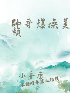 帅哥爆操美女视频