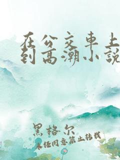 在公交车上被弄到高潮小说
