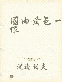国内黄色一级录像