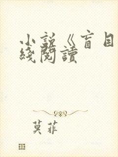 小说《盲目》在线阅读
