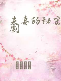 夫妻的秘密电视剧