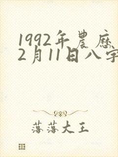1992年农历2月11日八字命格