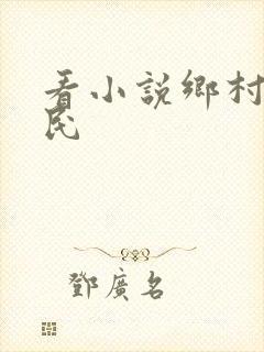 看小说乡村小农民
