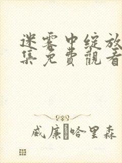 迷雾中绽放40集免费观看
