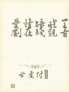 爱情睡醒了电视剧在线观看