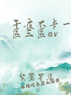 午夜不卡一区二区三区av