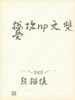 总攻np文双性受