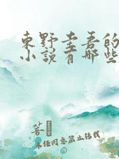 东野圭吾的悬疑小说有哪些