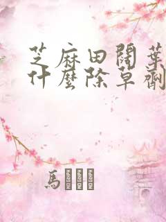 芝麻田阔叶草用什么除草剂?