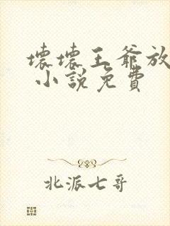 坏坏王爷放肆爱 小说免费 坏坏王爷放肆爱 小说免费