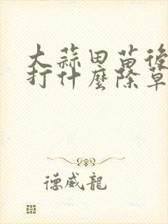 大蒜田苗后除草打什么除草剂