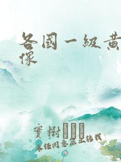 各国一级黄色录像
