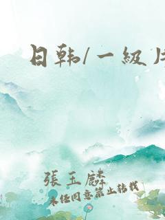 日韩/一级片
