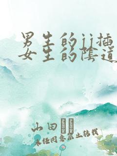 男生的jj插入女生的阴道里