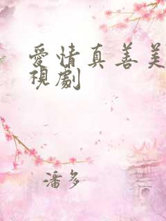 爱情真善美 电视剧