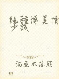纯种博美价格多少钱