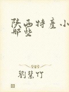 陕西特产小吃有哪些