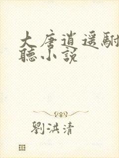 大唐逍遥驸马爷听小说