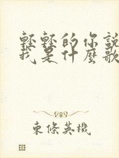 轻轻的你说的爱我是什么歌