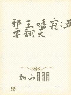 邪王嗜宠:丑妃要翻天