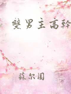 双男主高干文