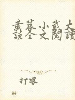 黄蓉小武大武小说全文阅读