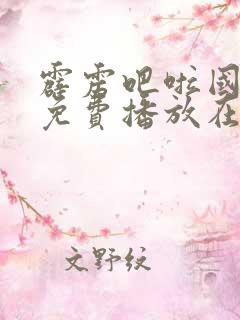 霹雳吧啦国语版免费播放在线观看