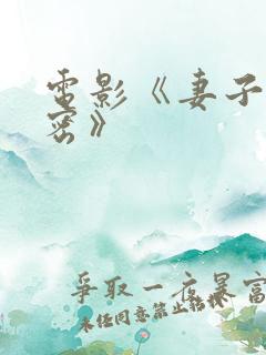 电影《妻子的秘密》