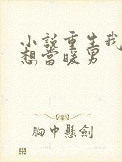 小说重生我真没想当暖男